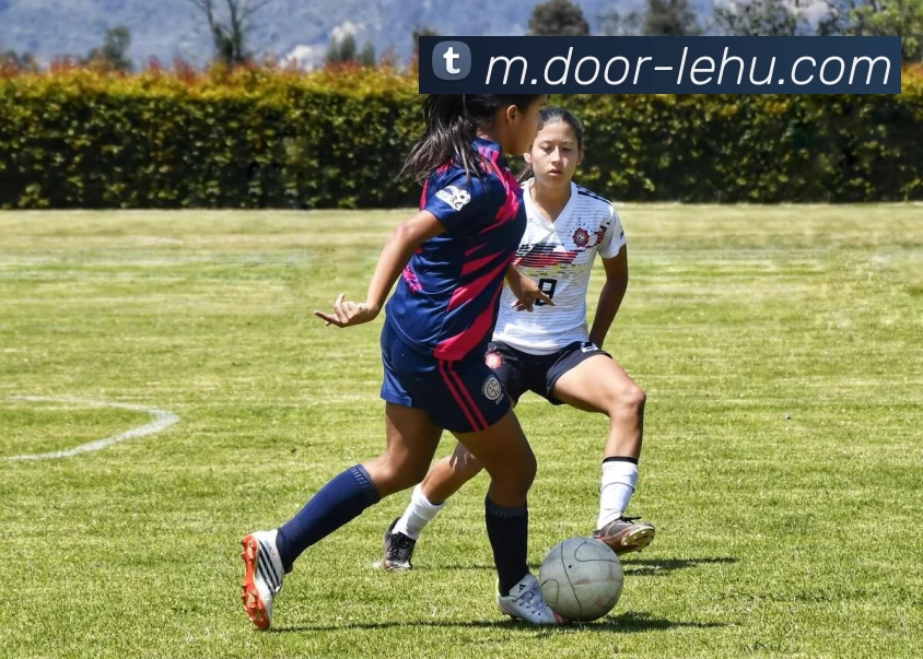 数据防护可视化